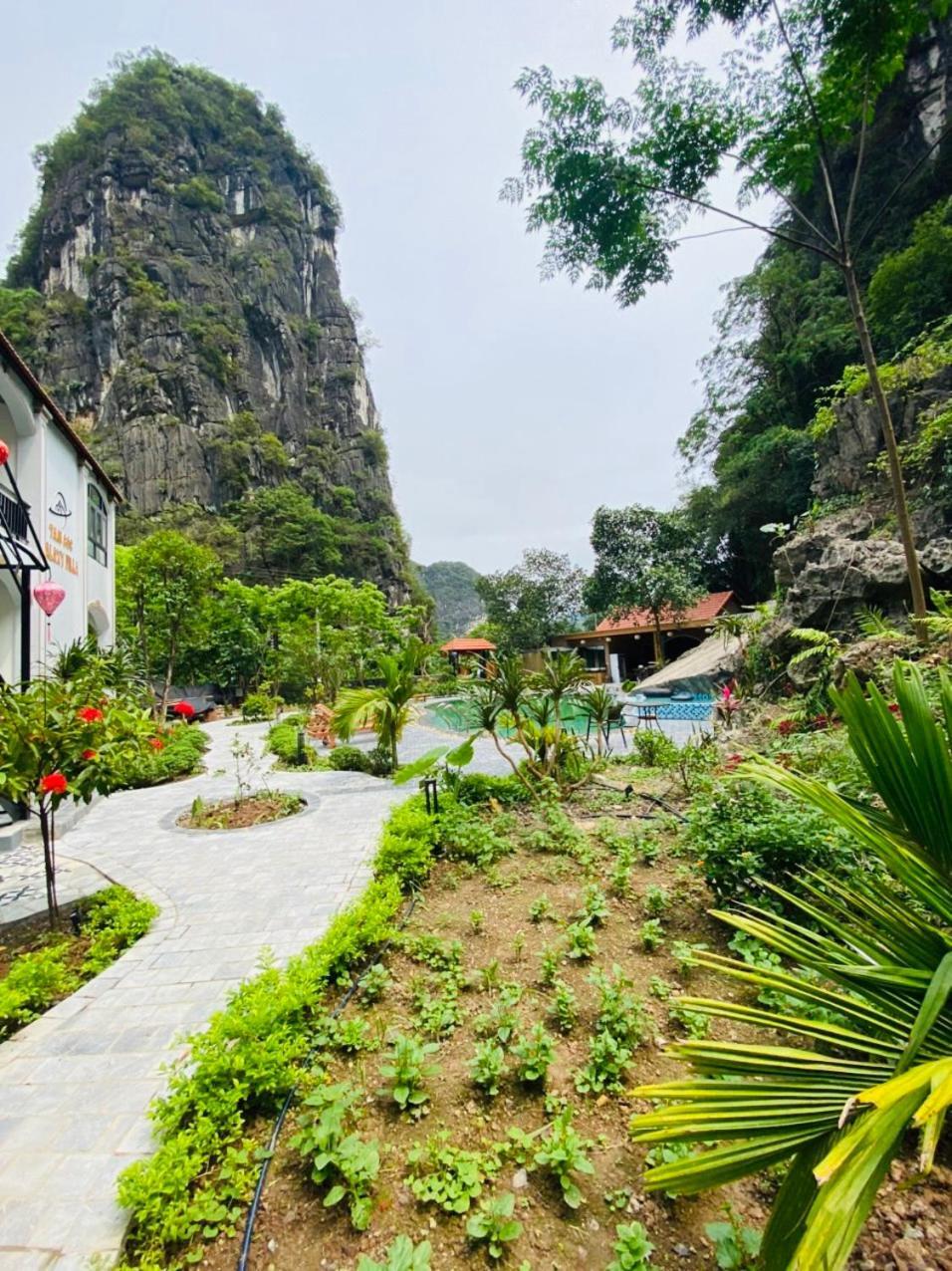 Tam Coc Galaxy Villa Ninh Binh Exteriér fotografie